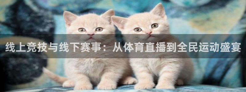 山猫体育免费足球直播：线上竞技与线下赛事：从体育直播到全民运动盛宴