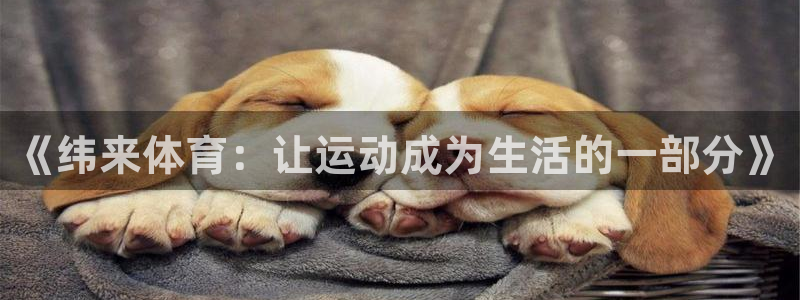 山猫足球直播最新赛程：《纬来体育：让运动成为生活的一部分》
