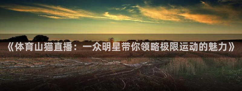山猫直播体育nba：《体育山猫直播：一众明星带你领略极限运动的魅力》
