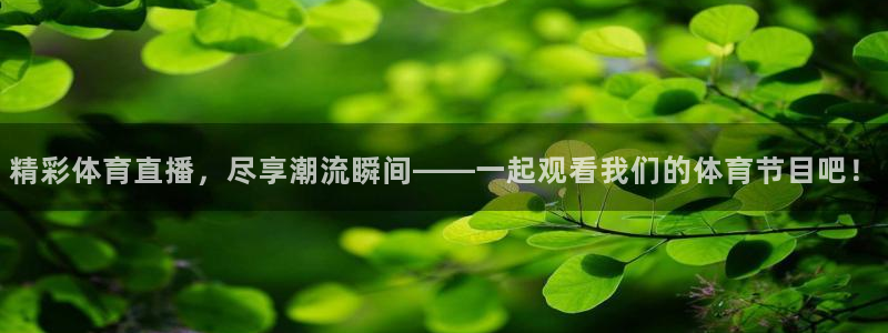 山猫足球直播在线直播观看：精彩体育直播，尽享潮流瞬间——一起观看我们的体育节目吧！